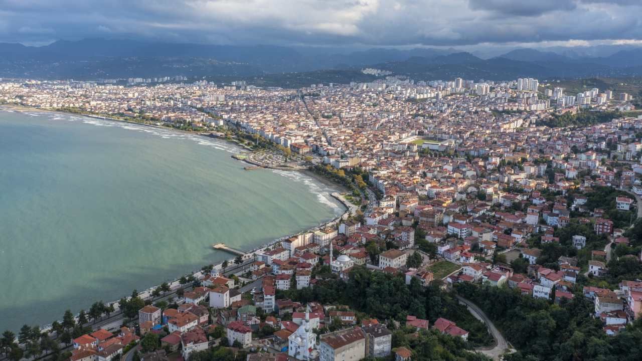 Altınordu Sepetli Vinç